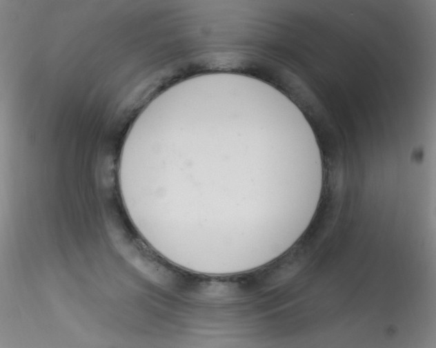 X0000115200549200911251445