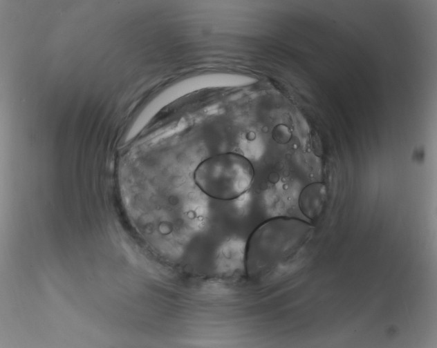 X0000115200550200911251445