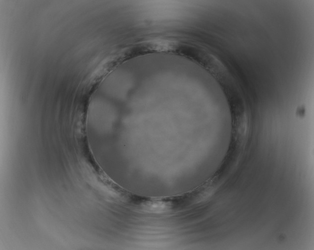 X0000115200553200911251445