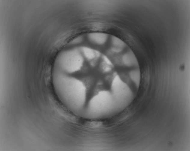 X0000115200554200911251445