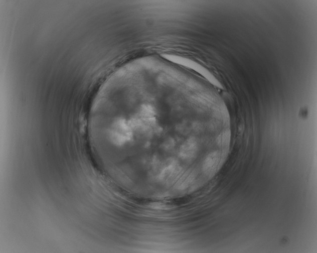 X0000115200555200911251445