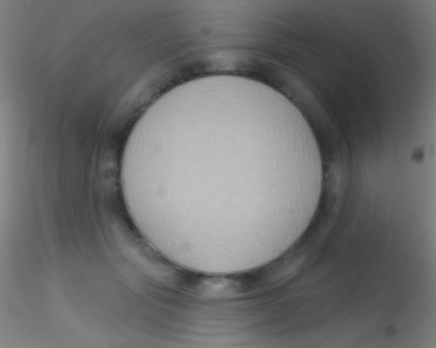 X0000115200557200911251445