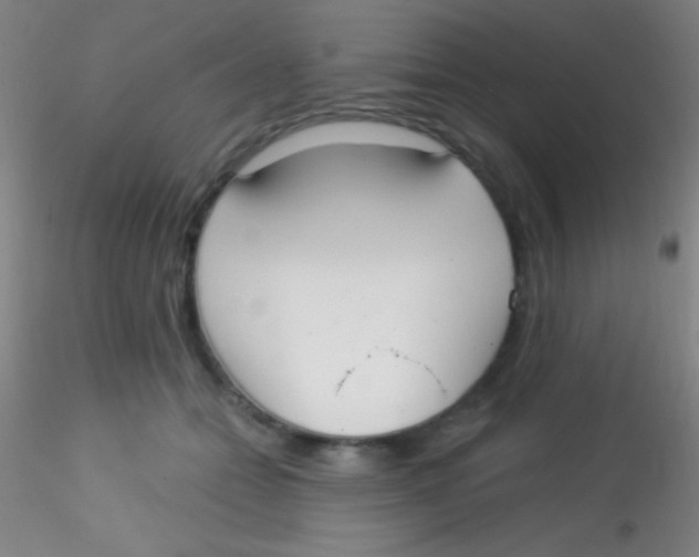 X0000115200558200911251445