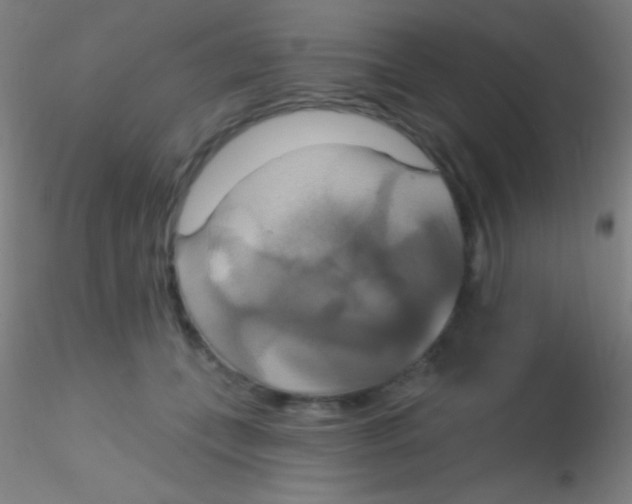 X0000115200559200911251445