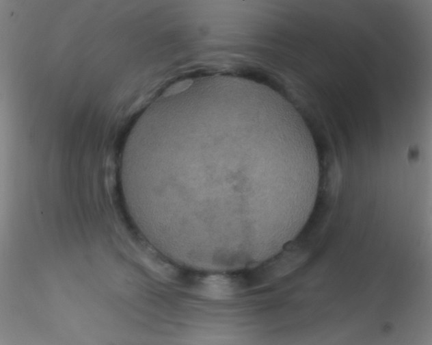 X0000115200562200911251446