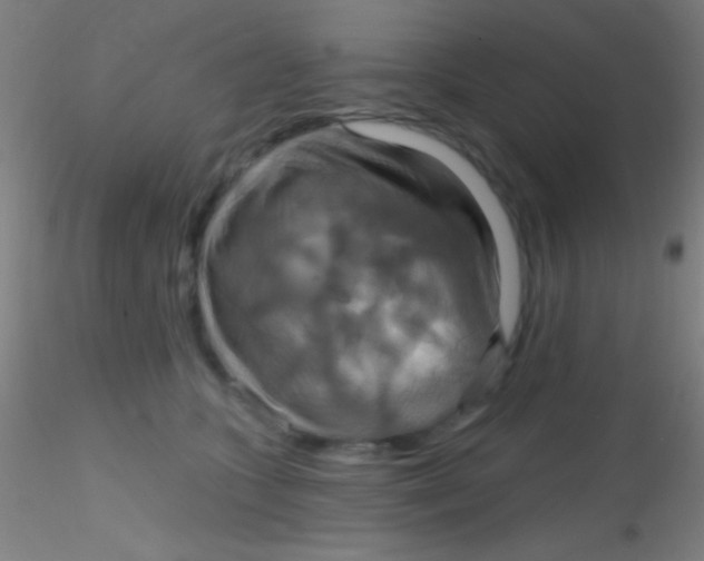 X0000115200563200911251446