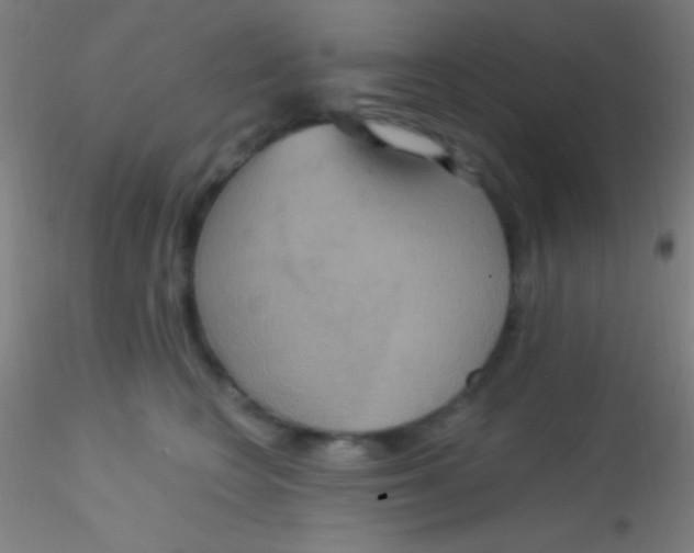 X0000115200566200911251446