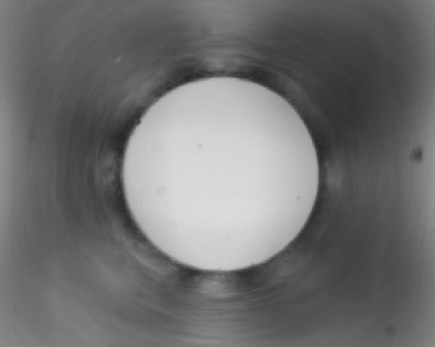 X0000115200567200911251446