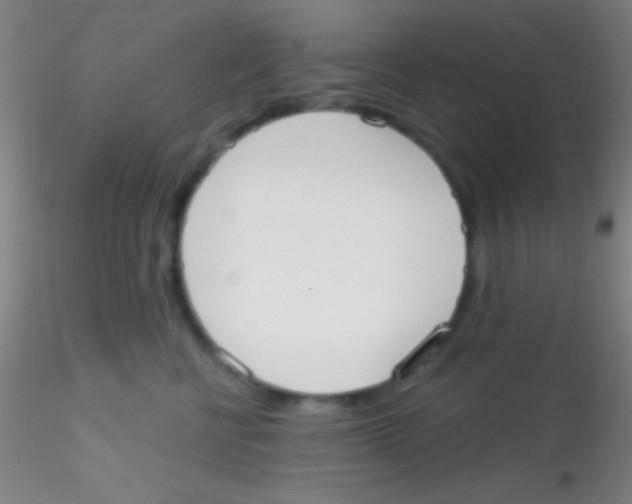 X0000115200570200911251446