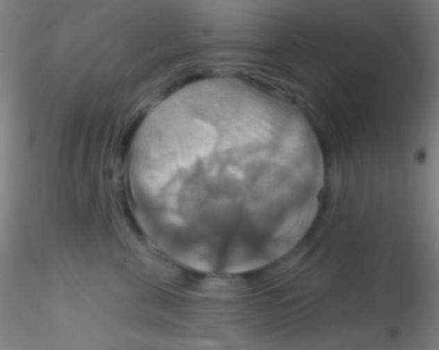 X0000115200571200911251446