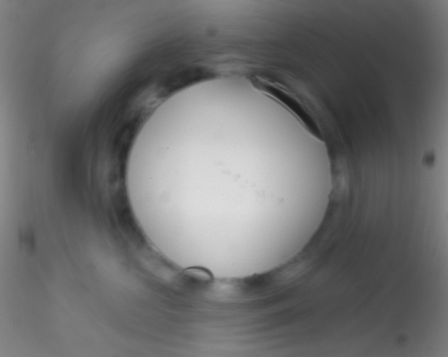 X0000115200573200911251446