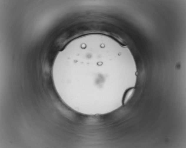 X0000115200574200911251446