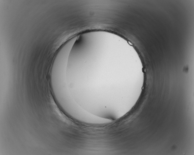 X0000115200577200911251445