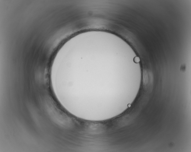 X0000115200579200911251445