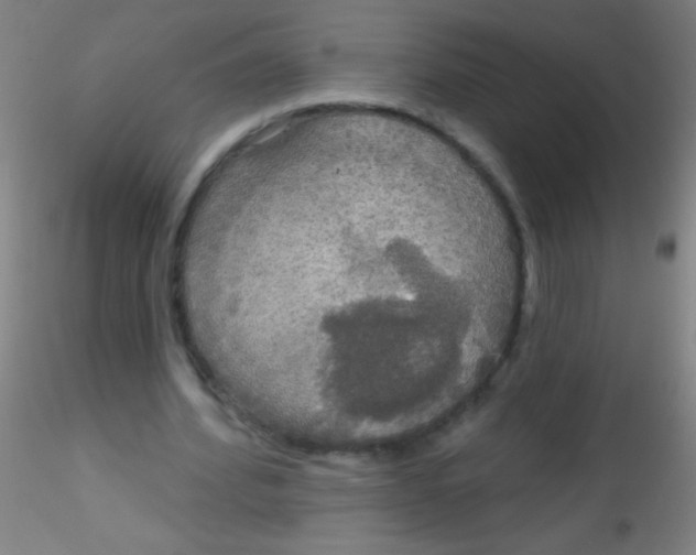 X0000115200580200911251445