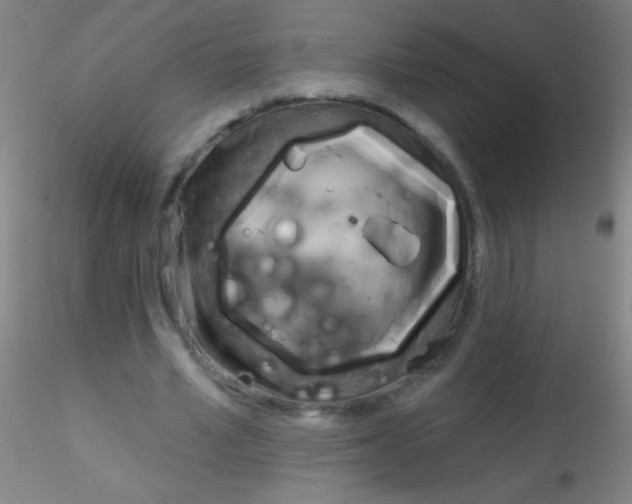 X0000115200581200911251445