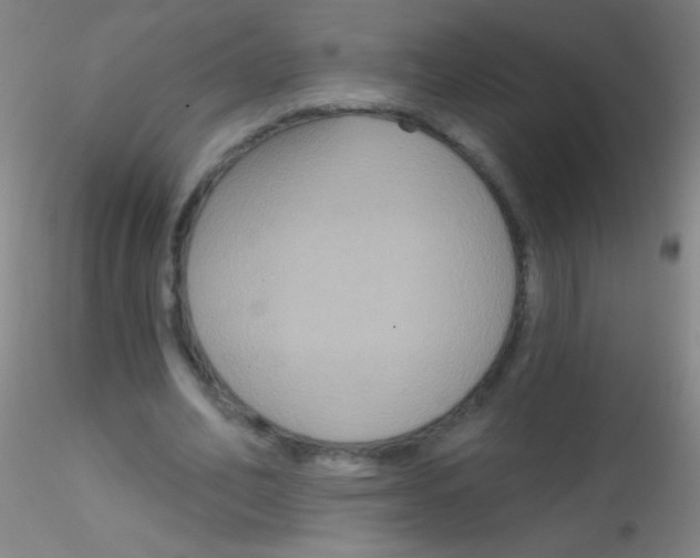 X0000115200582200911251445