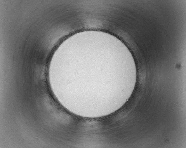 X0000115200583200911251445