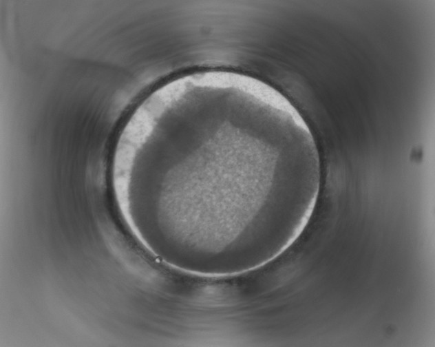X0000115200584200911251445