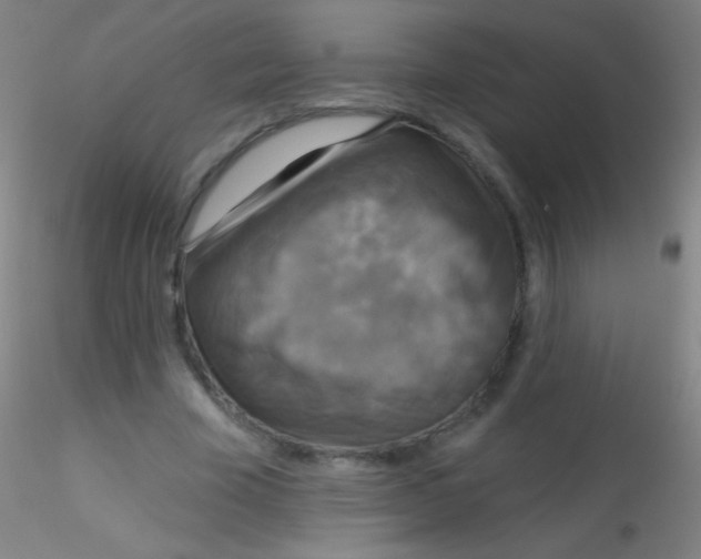 X0000115200585200911251445
