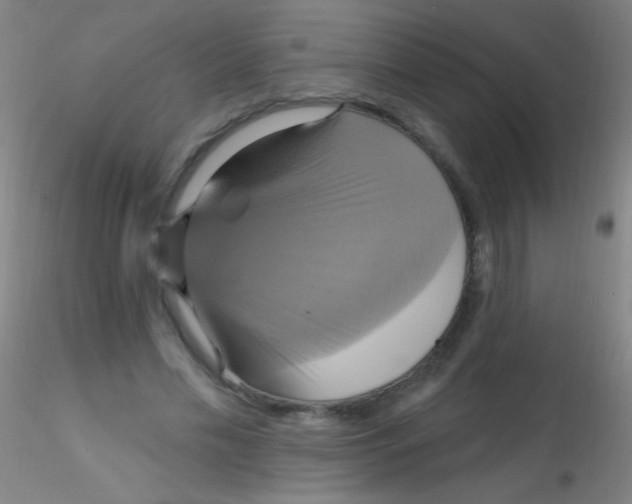 X0000115200589200911251445