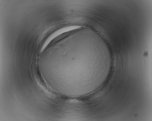 X0000115200590200911251445