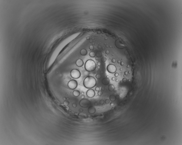 X0000115200591200911251445