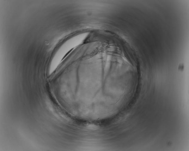X0000115200592200911251445
