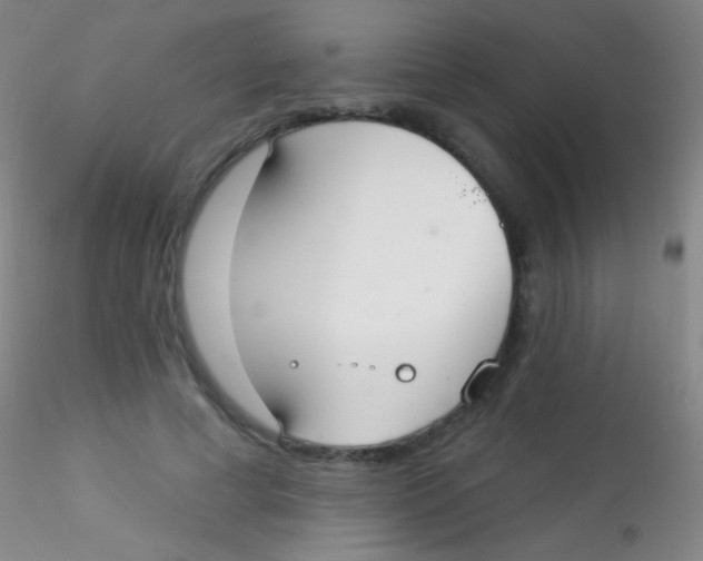 X0000115200593200911251445
