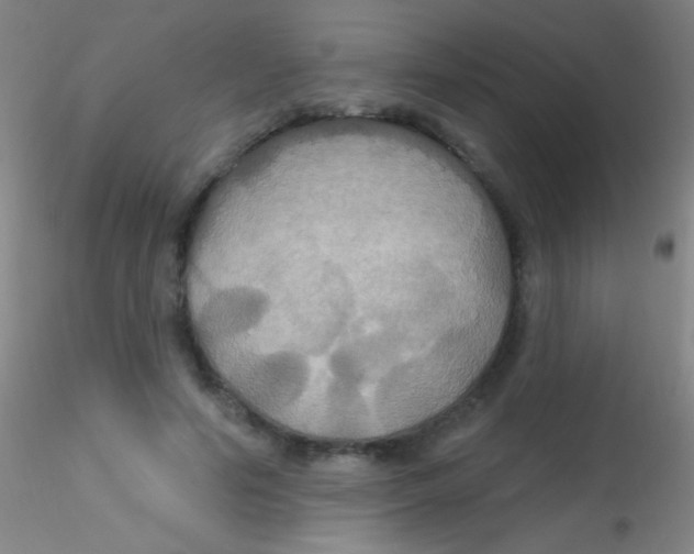 X0000115200594200911251445