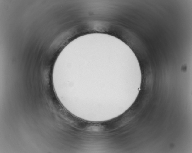 X0000115200595200911251445