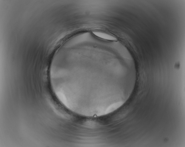 X0000115200596200911251445
