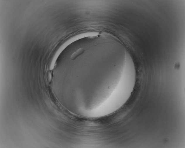X0000115200597200911251445