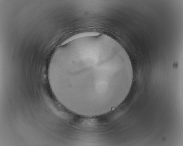 X0000115200599200911251445