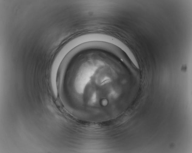 X0000115200600200911251445