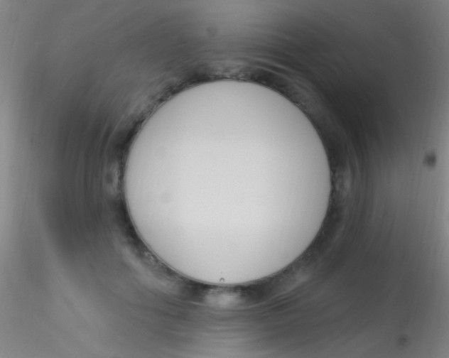 X0000115200602200911251445