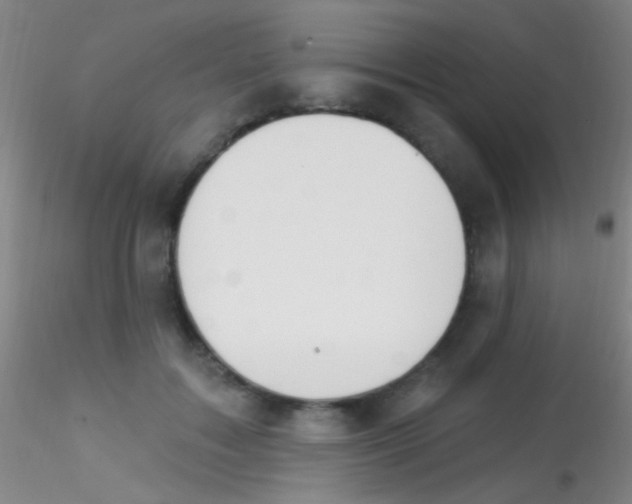 X0000115200603200911251445