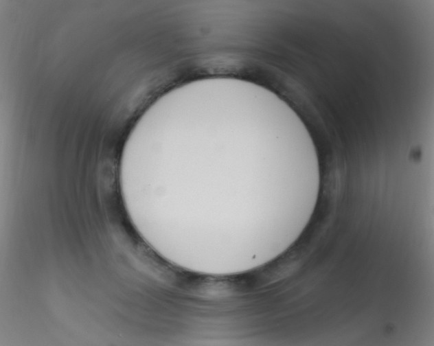 X0000115200604200911251445