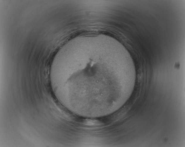 X0000115200605200911251445