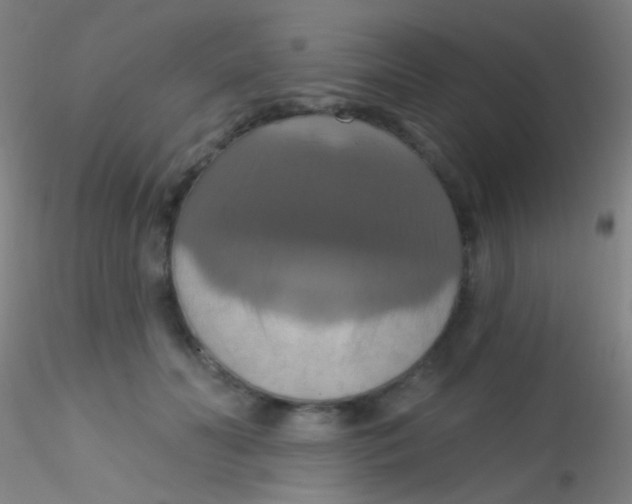 X0000115200606200911251445