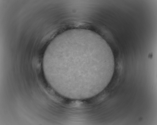 X0000115200607200911251445