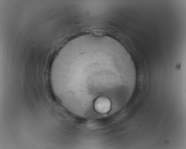 X0000115200608200911251445