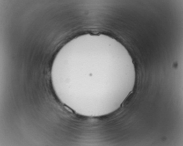 X0000115200609200911251444