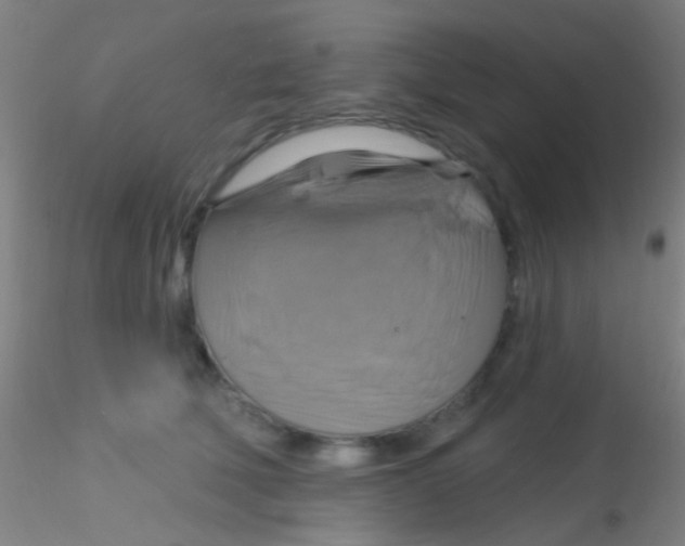 X0000115200610200911251444