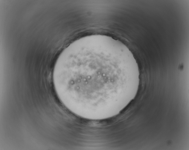 X0000115200613200911251444
