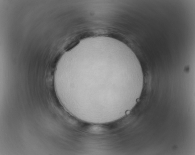 X0000115200614200911251444