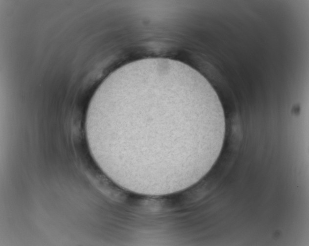 X0000115200615200911251444