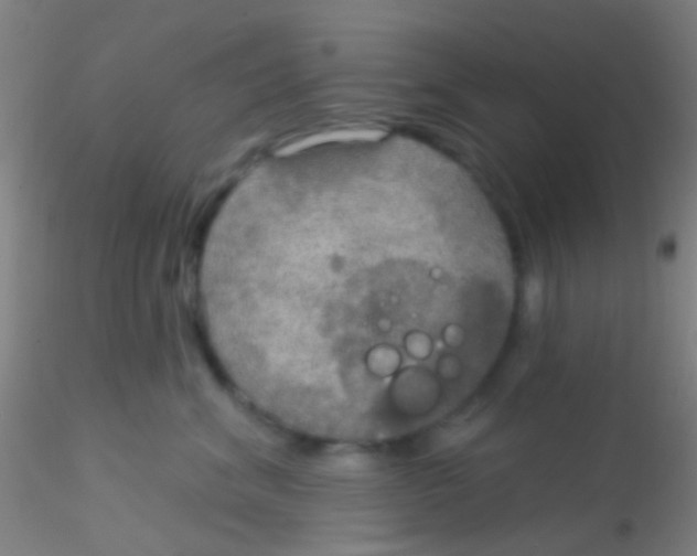 X0000115200620200911251444