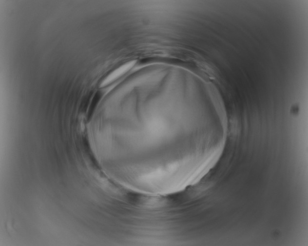 X0000115200621200911251444