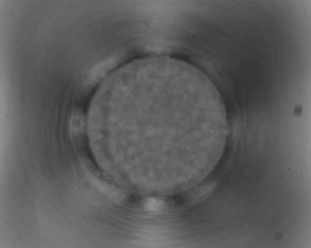 X0000115200623200911251444